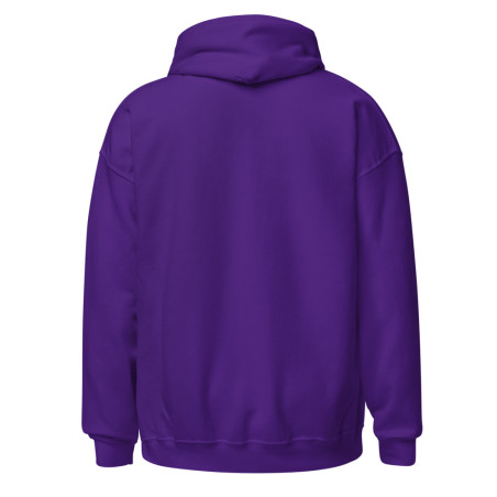 Temple Of Solomon Hoodie