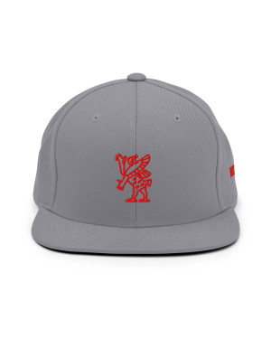 BGR Buckeye Grey Tiamaat Snapback Hat