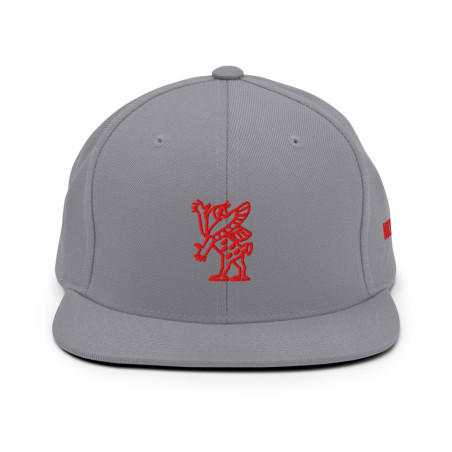 BGR Buckeye Grey Tiamaat Snapback Hat