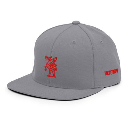 BGR Buckeye Grey Tiamaat Snapback Hat