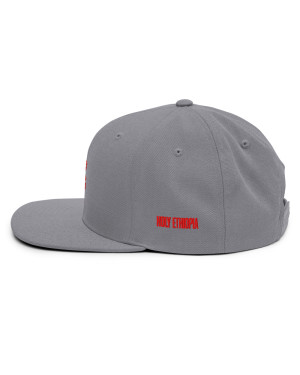 BGR Buckeye Grey Tiamaat Snapback Hat