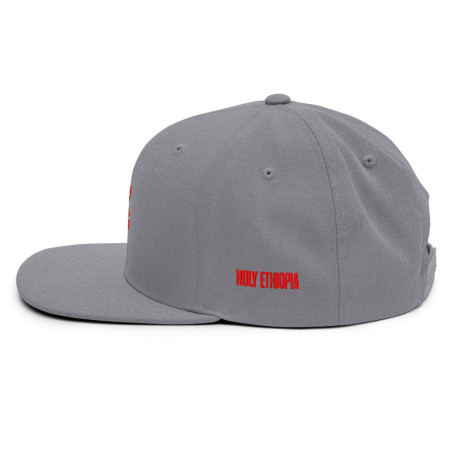 BGR Buckeye Grey Tiamaat Snapback Hat