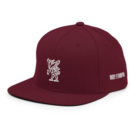 BGR Red Wine Tiamaat Snapback Hat