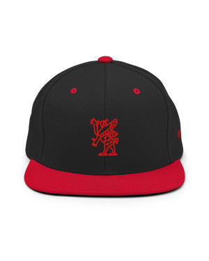 BGR 2-Tone Red/Black Tiamaat Snapback Hat