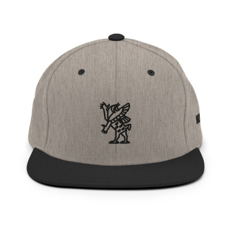 BGR 2-Tone Grey/Black Tiamaat Snapback Hat