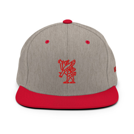 BGR 2-Tone Red/Grey Tiamaat Snapback Hat