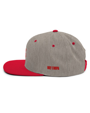 BGR 2-Tone Red/Grey Tiamaat Snapback Hat