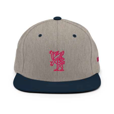 BGR 2-Tone Grey/Navy Pink Tiamaat Snapback Hat