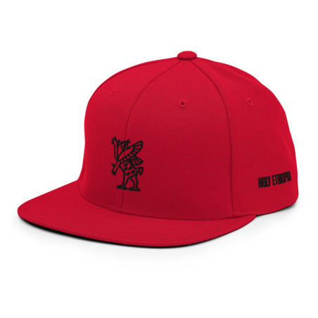 BGR Cardinal Red Tiamaat Snapback Hat