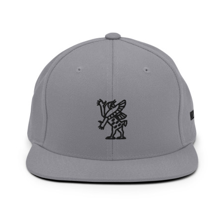 BGR Oakland Grey Tiamaat Snapback Hat