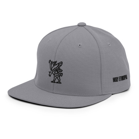 BGR Oakland Grey Tiamaat Snapback Hat