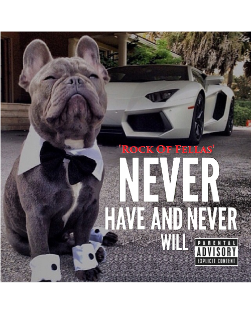 Rock Of Fellas  - Never...